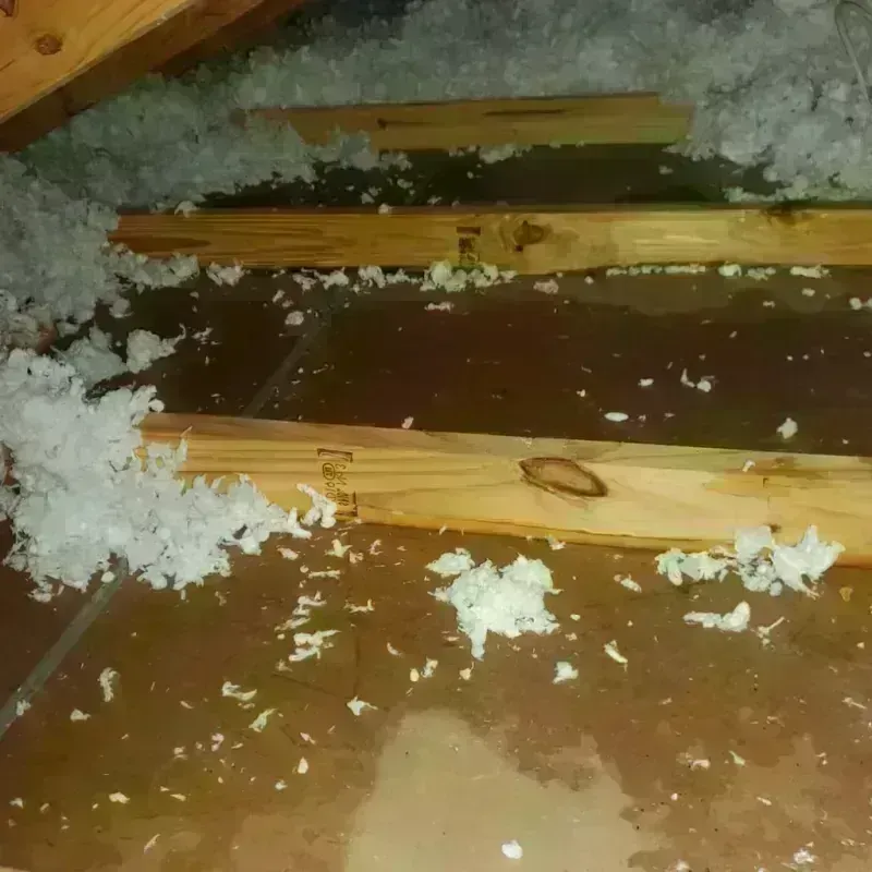 Attic Water Damage in Sebewaing, MI