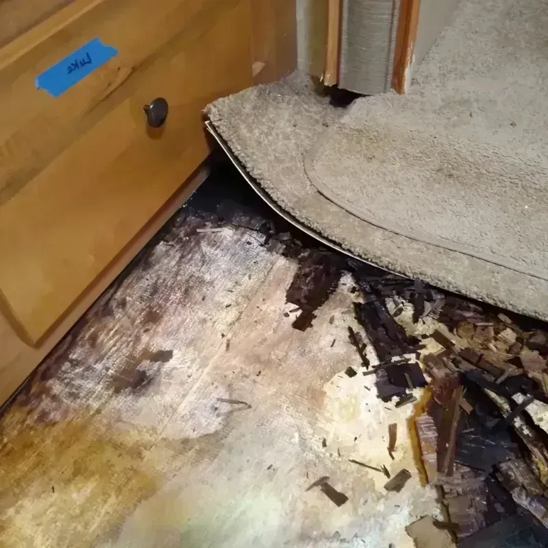 Wood Floor Water Damage in Sebewaing, MI